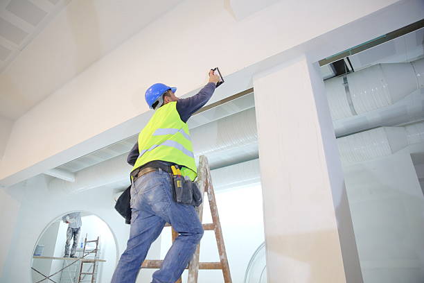 Best Drywall Removal and Disposal  in Cold Spring, MN